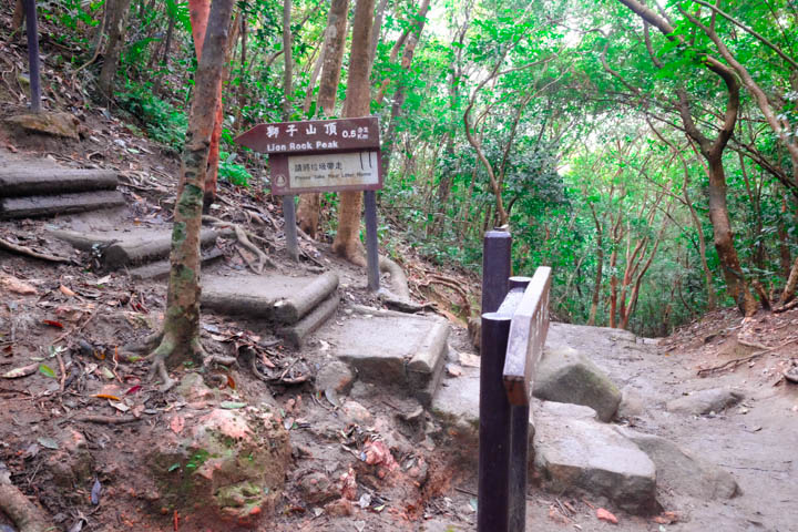 Continue straight for Maclehose Trail Section 5; turn left for Lion Rock Peak.